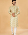Pista Charm Printed Kurta